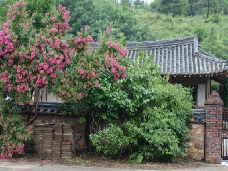 Jeongjaejongtaek Hanok Guesthouse Andong Eksteriør bilde